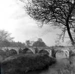 River Wharfe, Tadcaster Bridge